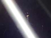 Display VW Tiguan II (AD) 2.0 TDI 110 kW 150 PS (01.2016-> )