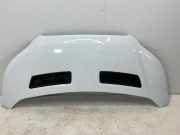 Motorhaube FORD Transit V363 Pritsche/Fahrgestell (FED, FFD) 2.0 TDCi 125 kW 1