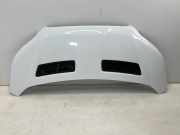 Motorhaube FORD Transit V363 Pritsche/Fahrgestell (FED, FFD) 2.0 TDCi 125 kW 1