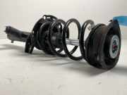 Federbein VW Golf VII (5G) 2.0 R 4motion 221 kW 300 PS (11.2013-> ) (ab 11/2013)