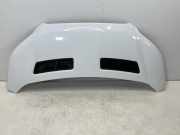 Motorhaube FORD Transit V363 Pritsche/Fahrgestell (FED, FFD) 2.0 TDCi 125 kW 1