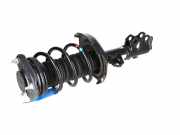 Federbein links vorne TOYOTA Corolla Kombi (E21) 2.0 Hybrid 144 kW 196 PS (01.