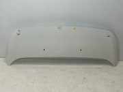 Motorhaube OPEL Vivaro C Kasten (K0) Vivaro-e HYDROGEN 100 kW 136 PS (08.2022-> ) (ab 08/2022)