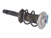 Federbein links vorne BMW 3er (F30, F80) 320d 120 kW 163 PS (04.2011-10.2018)