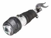 Federbein links vorne BMW X5 (G05, F95) xDrive 30d Mild-Hybrid 210 kW 286 PS (