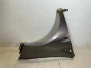 Kotflügel rechts vorne FIAT Bravo II (198) 1.6 D 16V Multijet 88 kW 120 PS (03