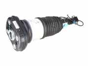 Federbein links hinten BMW X5 (G05, F95) 50e Plug-in-Hybrid xDrive 360 kW 489 PS (04.2023-> ) (ab 04/2023)