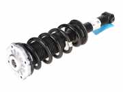 Federbein rechts hinten BMW X3 (G01, F97) xDrive 20i 135 kW 184 PS (12.2017->