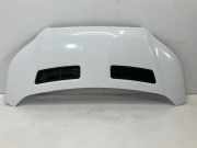 Motorhaube FORD Transit V363 Pritsche/Fahrgestell (FED, FFD) 2.0 TDCi 125 kW 1
