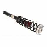 Federbein rechts hinten BMW 5er (F10) 520d xDrive 135 kW 184 PS (07.2013-06.20