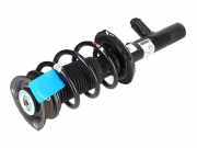 Federbein VW Tiguan I (5N) 2.0 TSI 4motion 132 kW 180 PS (05.2011-07.2018) 5QF