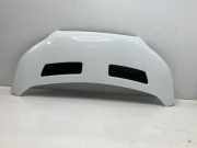 Motorhaube FORD Transit V363 Pritsche/Fahrgestell (FED, FFD) 2.0 TDCi 96 kW 13