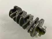 Kurbelwelle VW Tiguan II (AD) 2.0 TSI 4motion 169 kW 230 PS (09.2018-> )