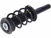 Federbein links rechts vorne VW Tiguan II 2 (AD)