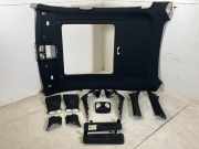 Himmel BMW X6 (G06, F96) xDrive 40d Mild-Hybrid 250 kW 340 PS (05.2020-> ) 987