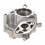 06K145100AE Unterdruckpumpe VW Arteon (3H) 2.0 TSI 4motion 200 kW 272 PS (09.2