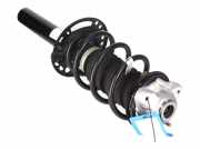 Federbein links vorne BMW X3 (G01, F97) xDrive 20d 140 kW 190 PS (08.2017-> )