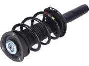 Federbein links rechts vorne VW Tiguan II 2 (AD)