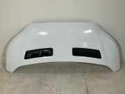 Motorhaube FORD Transit V363 2.0 TDCi 125 kW 1