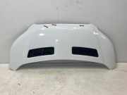 Motorhaube FORD Transit V363 Pritsche/Fahrgestell (FED, FFD) 2.0 TDCi 125 kW 170 PS (03.2016-> ) (ab 03/2016)