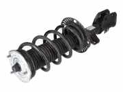 Federbein VW Crafter Kasten (SY, SX) 2.0 TDI 75 kW 102 PS (10.2016-> ) 2N04130