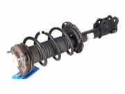 Federbein links vorne HYUNDAI Nexo FCEV 120 kW 163 PS (03.2018-> ) (ab 03/2018)