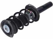 Federbein links rechts vorne VW Golf VIII 8 (CD)