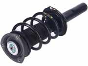 Federbein links rechts vorne VW Tiguan II (AD)