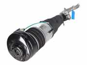 Federbein VW Touareg III (CR7) 3.0 TDI 4motion 170 kW 231 PS (05.2018-> ) 4M46