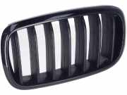 7316075 Kühlergrill links BMW X6 (F16, F86) M 50d 280 kW 381 PS (08.2014-05.20