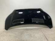 Motorhaube FORD Transit V363 Pritsche/Fahrgestell (FED, FFD) 2.0 TDCi 125 kW 170 PS (03.2016-> ) (ab 03/2016)