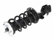 Federbein VW Crafter Kasten (SY, SX) 2.0 TDI 75 kW 102 PS (10.2016-> ) 2N04130