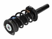 Federbein links rechts vorne VW T-Roc (A11)