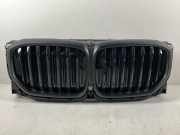 Kühlergrill BMW X5 (G05, F95) xDrive 40d Mild-Hybrid 250 kW 340 PS (05.2020->