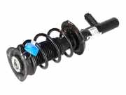 Federbein VW Passat B8 (3G) 2.0 TDI 110 kW 150 PS (11.2014-> ) 3Q0413032A