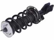 Federbein links rechts vorne VW Crafter Kasten (SY, SX)