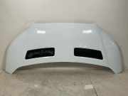 Motorhaube FORD Transit V363 Pritsche/Fahrgestell (FED, FFD) 2.0 TDCi 125 kW 1