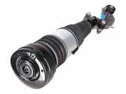 Federbein VW Touareg III (CR7) 3.0 TDI 4motion 170 kW 231 PS (05.2018-> ) 4M46