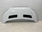 Motorhaube FORD Transit V363 Pritsche/Fahrgestell (FED, FFD) 2.0 TDCi 125 kW 1