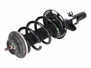 Federbein VW Transporter T6 Bus/Caravelle 2.0 TDI 110 kW 150 PS (04.2015-> ) 7