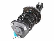 Federbein rechts vorne TOYOTA Corolla Kombi (E21) 2.0 Hybrid 144 kW 196 PS (01