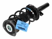 Federbein links rechts vorne VW Polo VI (AW)