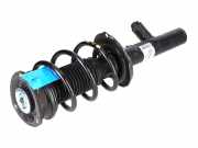 Federbein VW Tiguan I (5N) 2.0 TSI 4motion 132 kW 180 PS (05.2011-07.2018) 5QF