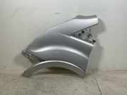 Kotflügel links vorne FORD Transit V363 Pritsche/Fahrgestell (FED, FFD) 2.0 TDCi
