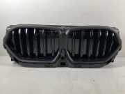 Kühlergrill BMW X6 (G06, F96) xDrive 40d Mild-Hybrid 250 kW 340 PS (05.2020->