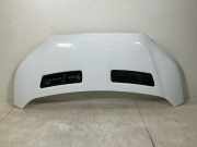 Motorhaube FORD Transit V363 2.0 TDCi 125 kW 1
