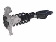 Federbein links vorne TESLA Model Y (5YJY) EV Allrad 378 kW 514 PS (09.2021->