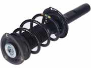 Federbein links rechts vorne VW Tiguan II (AD)