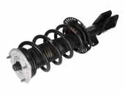 Federbein links rechts vorne VW Crafter Kasten (SY, SX)