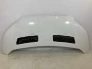 Motorhaube FORD Transit V363 2.0 TDCi 125 kW 1